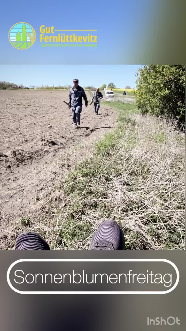 ig-media-video-18123949093713480 Social Kap Arkona auf R&uuml;gen